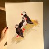 Puffin family | Art print | 30x40cm