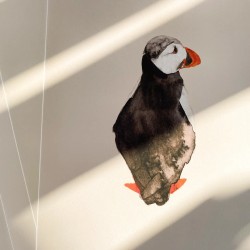 Puffin | Art print | 30x40cm
