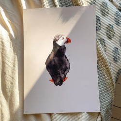 Puffin | Art print | 30x40cm