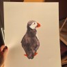 Puffin | Art print | 30x40cm