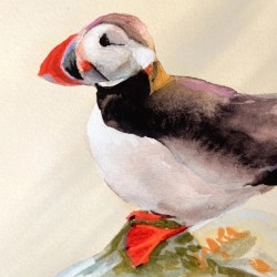 Plakat 50x70cm | Klippevokteren | Kunst til veggen