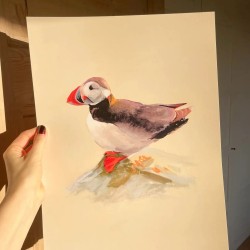 Kunsttrykk av lundefugl på Runde