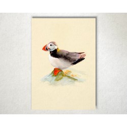 The cliff keeper | Art print | A4