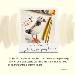 Lær deg å male din egen lundefugl! Kurs med Erin Skilbrei