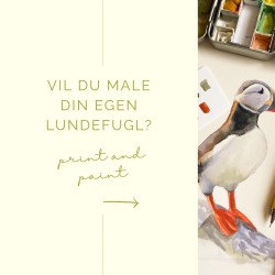 Vil du male din egen lundefugl? Bestill kurs!