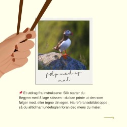 Lær deg å male din egen lundefugl! Kurs med Erin Skilbrei