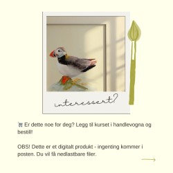 Learn how to paint a puffin! Course by Erin Skilbrei