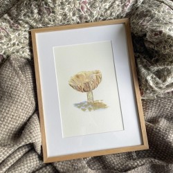 Mushroom in Østmarka