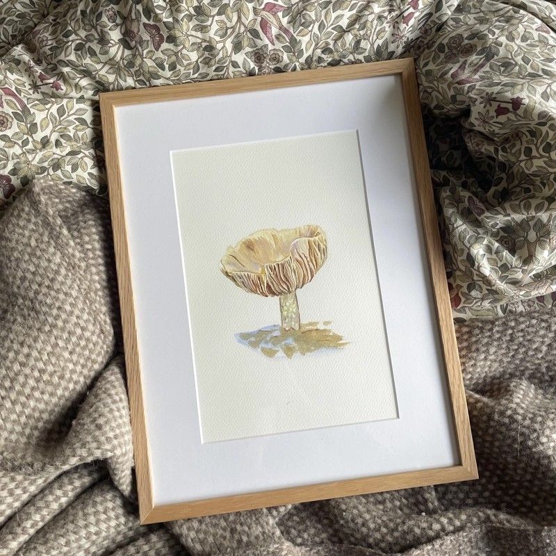 Mushroom in Østmarka