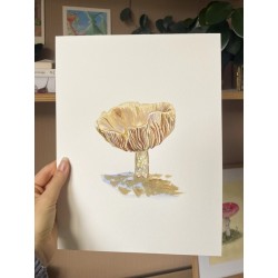 Mushroom in Østmarka