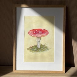 Mushroom in Østmarka