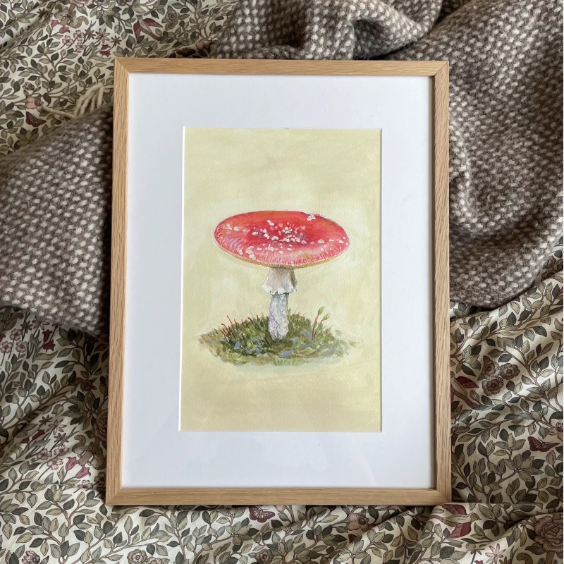 Mushroom in Østmarka