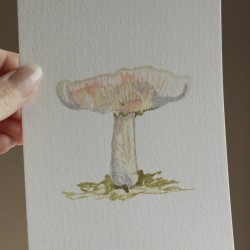 Mini painting of a mushroom 3