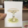 Mini painting of a mushroom 4