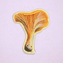 Chantarelle | Glossy vinyl sticker