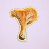 Chantarelle | Glossy vinyl sticker