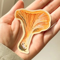 Kantarell | Glossy vinylklistremerke