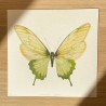 Sommerfugl i grønt | Limited edition kunsttrykk