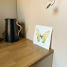 Butterfly in green | Limited edition fine art print