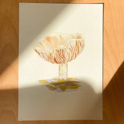 Rimsopp ved Kroktjern | Kunsttrykk | A4