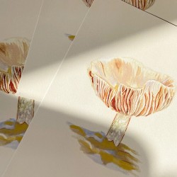 Mushroom by Kroktjern | Art print | A4