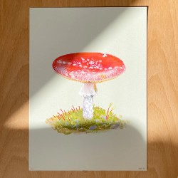 Mushroom in Østmarka | Art print | A4