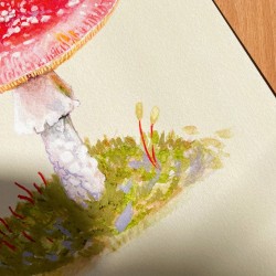 Mushroom in Østmarka | Art print | A4