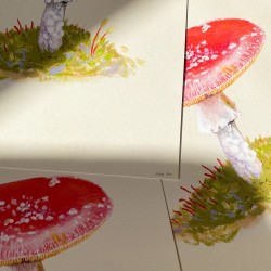 Fluesopp i Østmarka | Kunsttrykk | A4