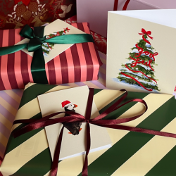 Puffin with santa hat | Small greeting card