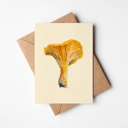 Chantarelle | Greeting card with envelope