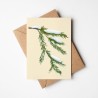 Snow twig | Greeting card with envelope