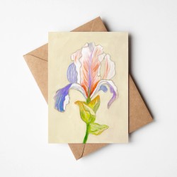 Orchid | Greeting card with envelope