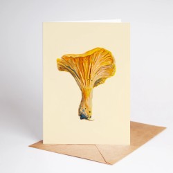Chantarelle | Greeting card with envelope