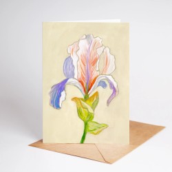 Orchid | Greeting card with envelope