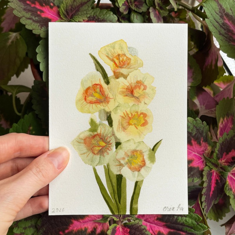 Mini painting of a narcissus flower