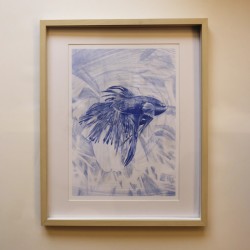 Blue battle fish | Poster print | A3