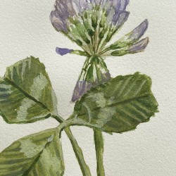 Mini painting of a clover