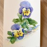 Pansy | Watercolor painting