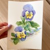 Pansy | Watercolor painting