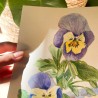 Pansy | Watercolor painting