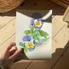 Stemorsblomst | Akvarellmaleri