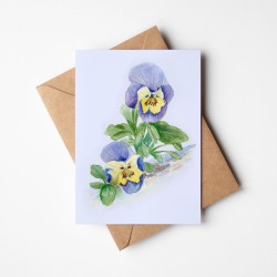 Pansy | Greeting card with envelope