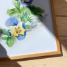 Pansy | Art print | 30x40cm